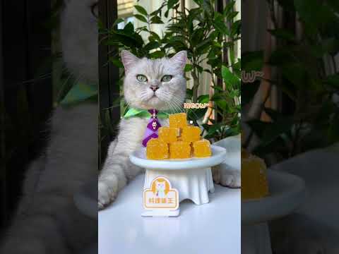 Do You Have Mandarins? 🍊Making Healthy Candy Right Away 😍| Chef Cat Cooking  #tiktok #Shorts