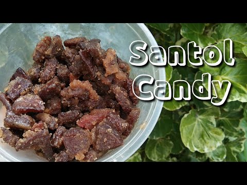 HOW TO MAKE SANTOL CANDY / SANTOL RECIPE