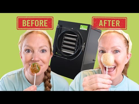 Make & Taste-Test a NEW Freeze Dried Candy using CANDY MODE!!